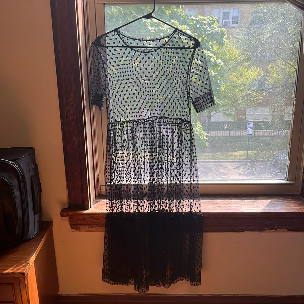 Sheer Swiss Dot Dress